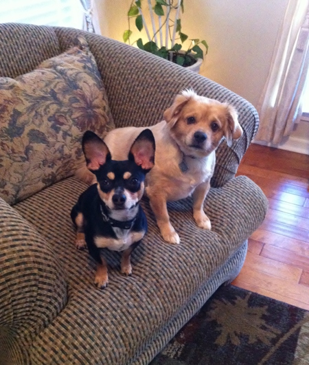 Entry image for Moose & Ms. Kit. Clicking this image will show a larger photo