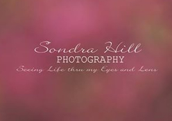 Sondra Hill