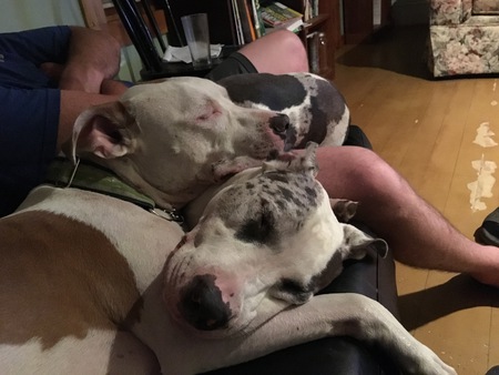 Delilah and Cooper