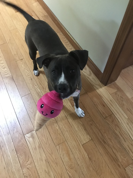 Peanut