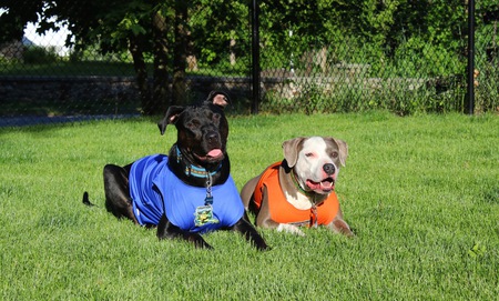 Maizee and Leo