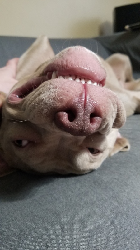 Diesel