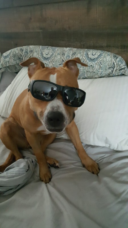 Riley