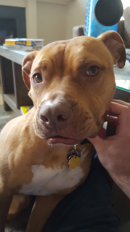 Toby Wrinkles
