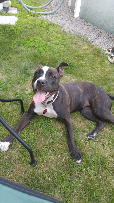 Roxi