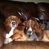 Entry image for Bo and Luke