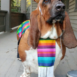 Entry image for Walter