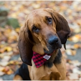 Entry image for Waylon 
