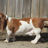 Entry image for Walter