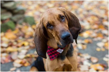 Entry image for Waylon . Clicking this image will show a larger photo