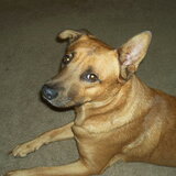 Entry image for Casey