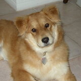 Entry image for Amber Mae