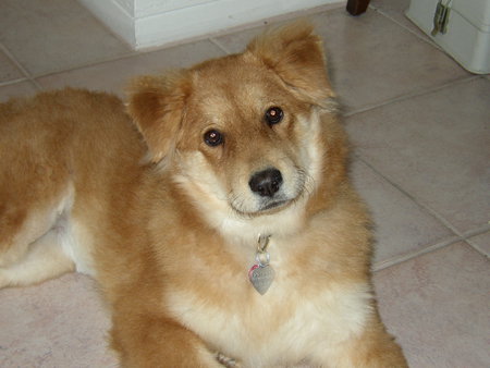 Entry image for Amber Mae. Clicking this image will show a larger photo