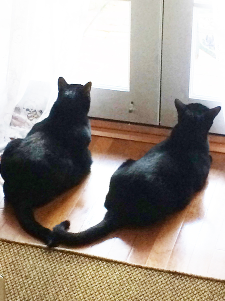 Entry image for Sniffles & Eb Wallenstein Reed. Clicking this image will show a larger photo