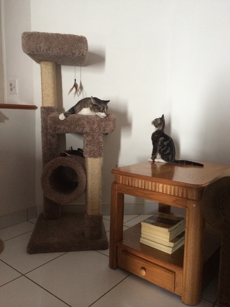 Entry image for Brady & Spencer. Clicking this image will show a larger photo