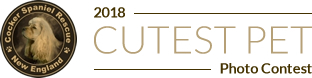 Logo for Cutest Pet Contest