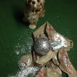 Entry image for Rosie Bean 