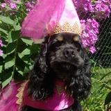 Entry image for Gabby