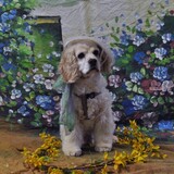 Entry image for Ivy
