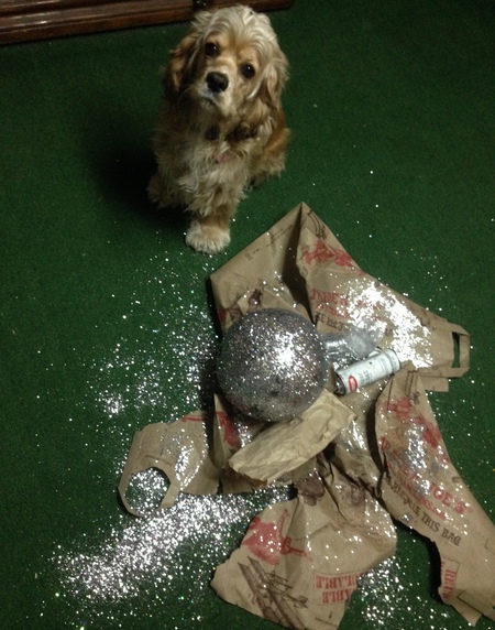 Entry image for Rosie Bean . Clicking this image will show a larger photo