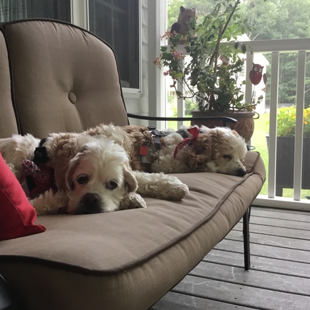 Entry image for Sadie & Colby. Clicking this image will show a larger photo