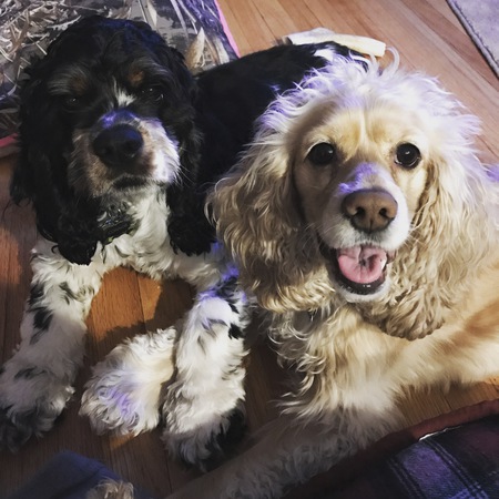 Entry image for Connor and Lexie . Clicking this image will show a larger photo