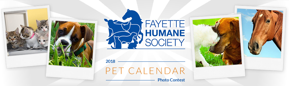 Banner for Pet Photo Calendar Contest