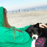 Entry image for Della