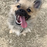 Entry image for Baxter