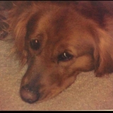 Entry image for Girl