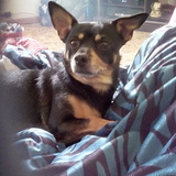 Entry image for Poppers