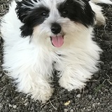 Entry image for Manny