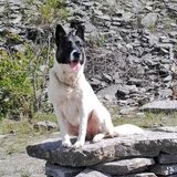 Entry image for Shuga Marie