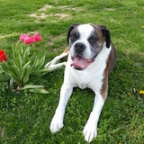 Entry image for Shooter