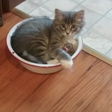 Entry image for Boots