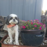 Entry image for Ali Bentley 