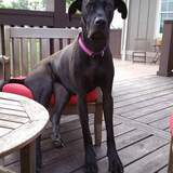 Entry image for Ellie Mae