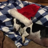 Entry image for Ross Co