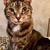 Entry image for Pooter