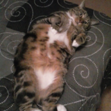 Entry image for Jack