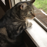 Entry image for Jack