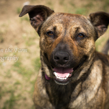 Entry image for Carly