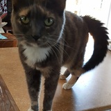 Entry image for Victoria