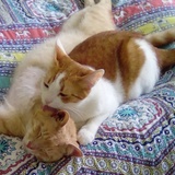 Entry image for Wally and Jimmy