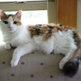 Entry image for Miss Boo