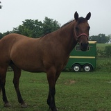 Entry image for Mamma