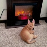 Entry image for Marilyn Monroe