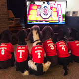 Entry image for Nora, Elliot, Kramer, Bixby, Maggie