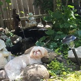 Entry image for Princess