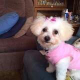 Entry image for Larry and Susan Root